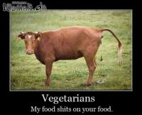 23024-vegetarier.jpg